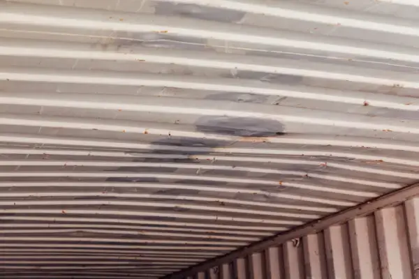 Container Ceiling Scuff 40ft Used Shipping Containers For Sale | Shop | CHS Container Group USA